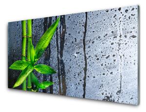 Sklenený obklad Do kuchyne Bambus list rastlina príroda 120x60 cm