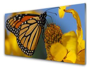 Sklenený obklad Do kuchyne Motýľ kvet príroda 125x50 cm