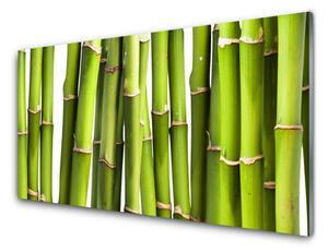 Sklenený obklad Do kuchyne Bambus rastlina príroda 100x50 cm