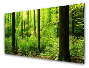 Sklenený obklad Do kuchyne Les zeleň stromy príroda 120x60 cm