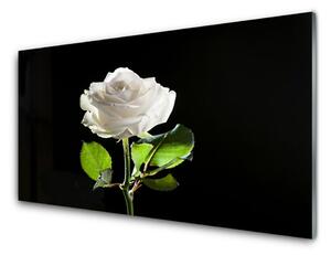 Sklenený obklad Do kuchyne Ruže kvet rastlina 100x50 cm