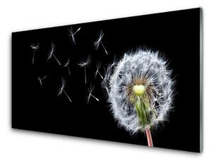 Skleneny obraz Púpavy kvety príroda 120x60 cm 4 Prívesky