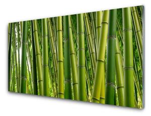 Sklenený obklad Do kuchyne Bambusový les bambusové výhonky 100x50 cm