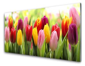 Skleneny obraz Tulipány kvety príroda 120x60 cm 4 Prívesky
