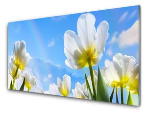 Sklenený obklad Do kuchyne Rastliny kvety tulipány 100x50 cm