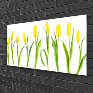 Skleneny obraz Žlté tulipány kvety 125x50 cm
