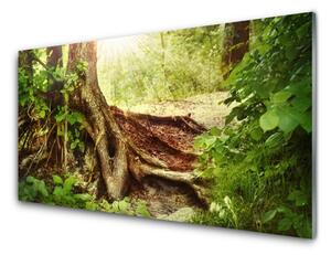 Sklenený obklad Do kuchyne Strom kmeň príroda les 100x50 cm