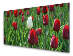 Skleneny obraz Tulipány kvety príroda 125x50cm