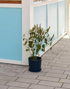 HAY Kvetináč s podmiskou Botanical Family Set XL, dark blue