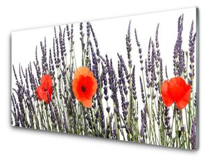 Sklenený obklad Do kuchyne Kvety maky pole trávy 100x50 cm