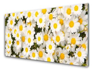 Sklenený obklad Do kuchyne Sedmokrásky kvety 120x60 cm