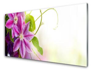 Skleneny obraz Kvety príroda 100x50cm