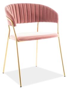 Ružová jedálenská stolička LIRA B VELVET so zlatými nohami