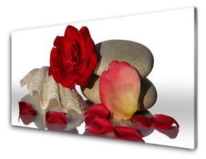 Sklenený obklad Do kuchyne Ruže plátky mŕtva príroda 100x50 cm