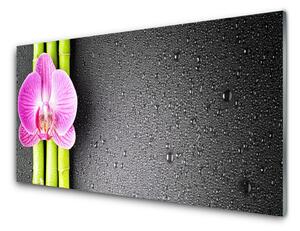 Sklenený obklad Do kuchyne Bambus kvet orchidea 100x50 cm