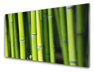 Nástenný panel  Bambus príroda rastlina 100x50 cm