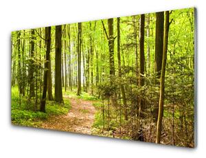 Obraz na akrylátovom skle Les príroda 140x70 cm 2 Prívesky