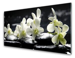 Nástenný panel  Kvet kamene rastlina 125x50 cm