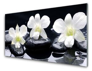Obraz na skle Kvet kamene rastlina 120x60 cm 4 Prívesky