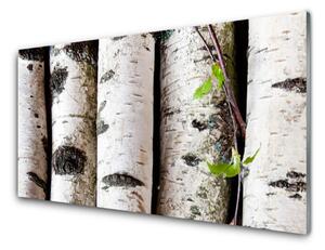 Nástenný panel  Stromy príroda 120x60 cm