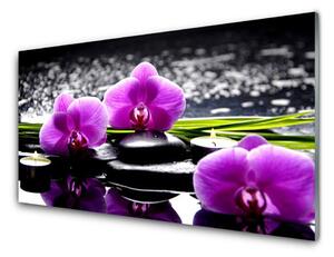 Obraz na skle Kvet kamene rastlina 140x70 cm 4 Prívesky