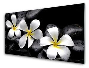 Obraz na skle Kvet kamene rastlina 120x60 cm 4 Prívesky