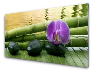 Nástenný panel  Kvet kamene bambus príroda 100x50 cm