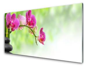Obraz na skle Kvet kamene rastlina 120x60 cm 2 Prívesky