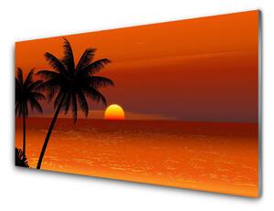 Nástenný panel  Palma more slnko krajina 100x50 cm