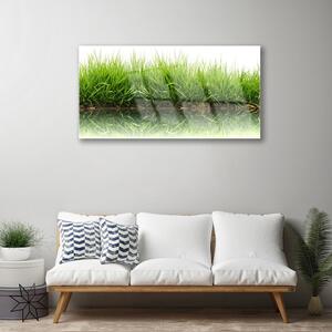 Obraz na skle Tráva príroda rastlina 120x60 cm 2 Prívesky