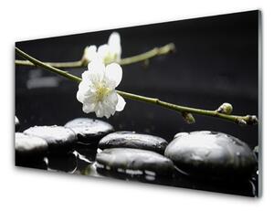 Nástenný panel  Kvet kamene umenie 100x50 cm