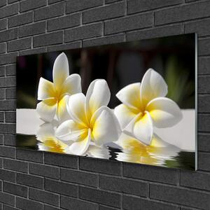 Obraz na skle Kvety rastlina príroda 120x60 cm 2 Prívesky