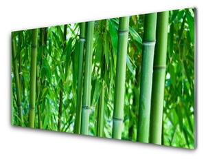 Nástenný panel  Bambus stonka rastlina 125x50 cm