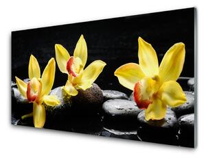 Skleneny obraz Kvet kamene rastlina 100x50 cm 4 Prívesky