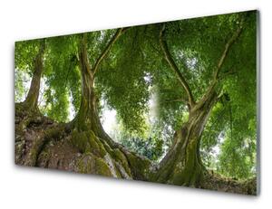 Sklenený obklad Do kuchyne Stromy rastlina príroda 120x60 cm