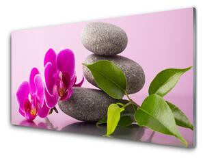Sklenený obklad Do kuchyne Kvet kamene zen rastlina 100x50 cm