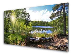 Obraz plexi Les stromy jazero príroda 120x60 cm 2 Prívesky