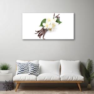 Skleneny obraz Vanilková tyčinka do kuchyne 125x50 cm