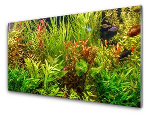 Sklenený obklad Do kuchyne Akvárium rybičky rastliny 100x50 cm