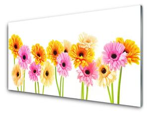 Sklenený obklad Do kuchyne Farebné kvety gerbery 100x50 cm