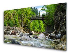 Sklenený obklad Do kuchyne Drevený most v lese 100x50 cm