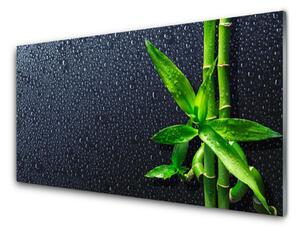 Sklenený obklad Do kuchyne Bambus stonka rastlina príroda 100x50 cm