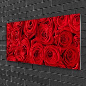 Skleneny obraz Ruže kvety rastlina 120x60 cm 2 Prívesky