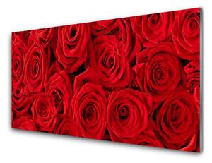 Skleneny obraz Ruže kvety rastlina 140x70 cm 2 Prívesky