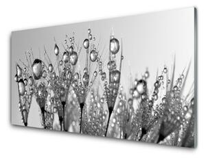 Sklenený obklad Do kuchyne Abstrakcie rastlina príroda 125x50 cm