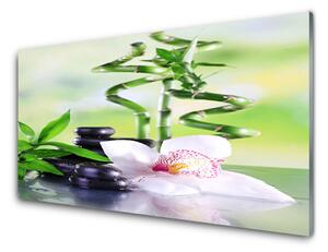 Skleneny obraz Orchidea bambus zen kúpele 140x70 cm 2 Prívesky