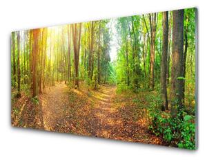 Sklenený obklad Do kuchyne Slnko príroda lesné chodník 100x50 cm