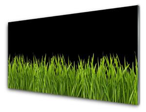 Sklenený obklad Do kuchyne Zelená tráva príroda 100x50 cm