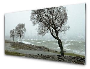 Skleneny obraz More búrka vlny 125x50 cm