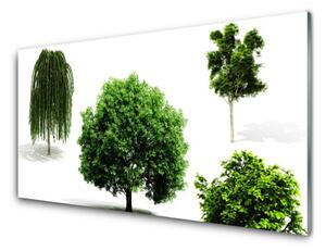 Skleneny obraz Stromy príroda 120x60 cm 4 Prívesky